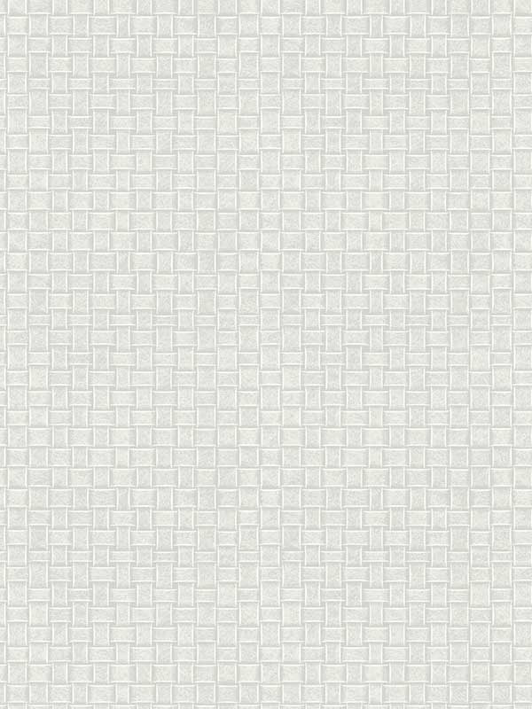 Paradise Island Weave fabric in light grey color - pattern number TC2612 - by York in the Tropics Resource Library collection