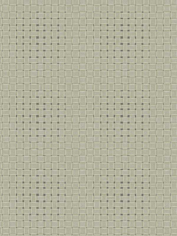 Paradise Island Weave fabric in green color - pattern number TC2613 - by York in the Tropics Resource Library collection