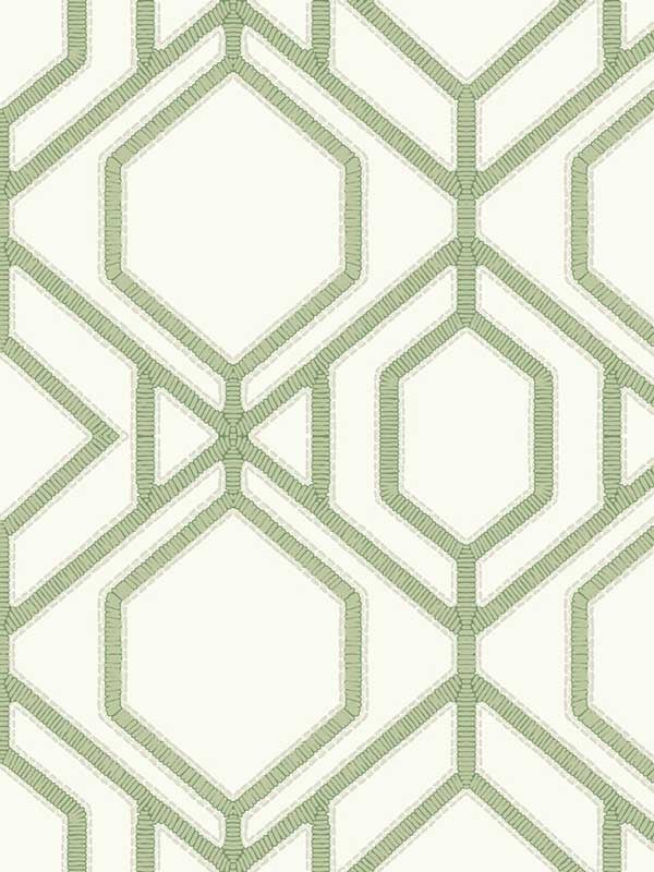 Sawgrass Trellis fabric in green color - pattern number TC2631 - by York in the Tropics Resource Library collection