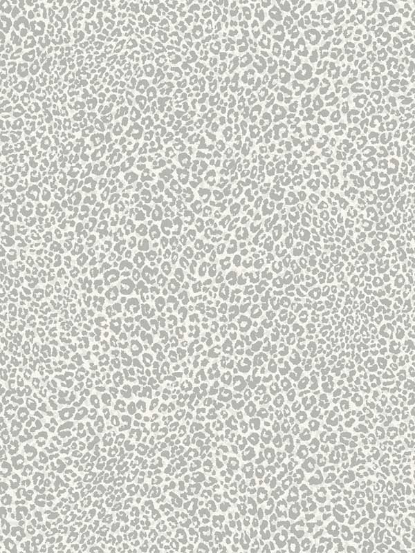 Leopard King fabric in grey color - pattern number TC2683 - by York in the Tropics Resource Library collection