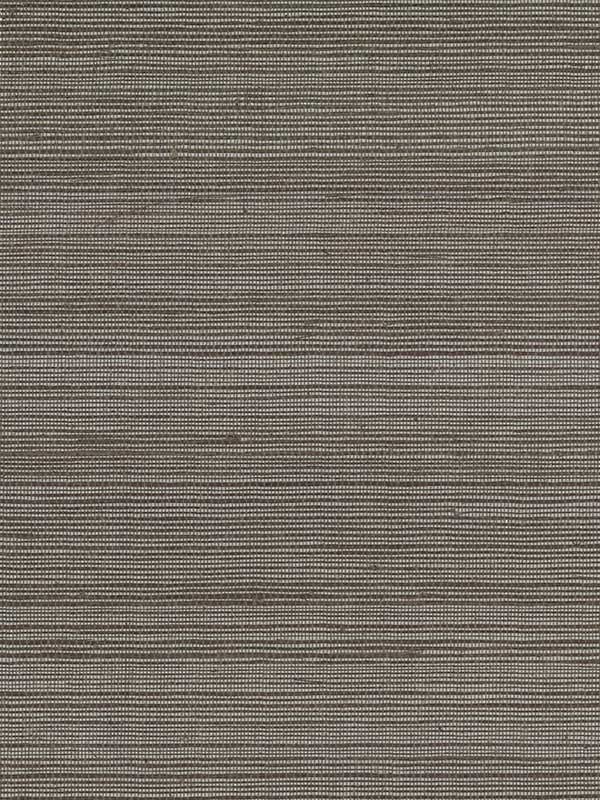 Sisal Grasscloth fabric in charcoal color - pattern number VG4418 - by York in the Tropics Resource Library collection