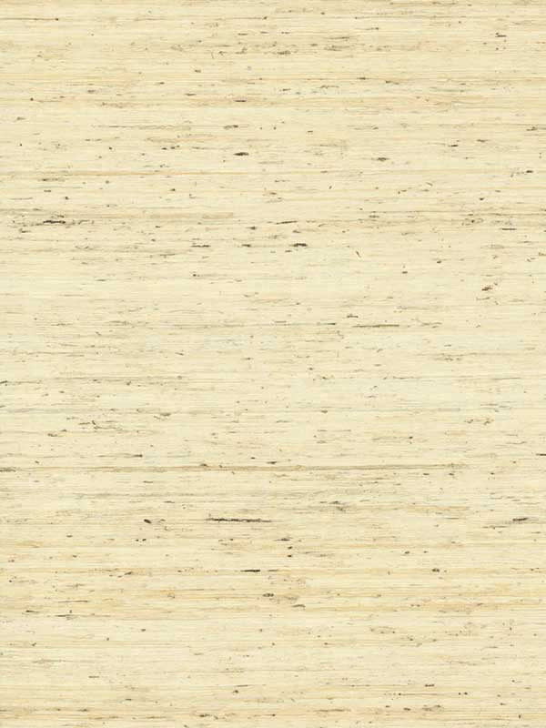 Arrowroot fabric in off white color - pattern number CP9345 - by York in the Waters Edge Resource Library collection