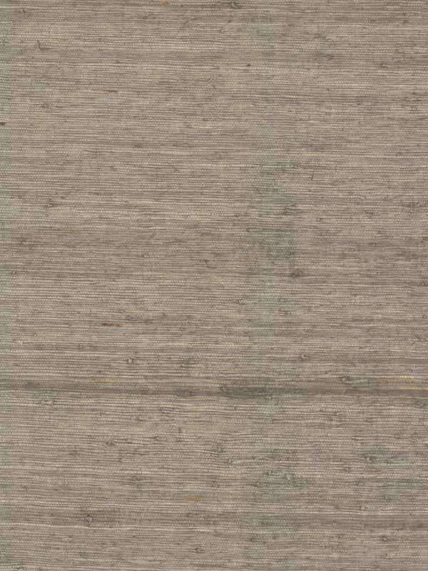 Arrowroot fabric in brown color - pattern number CV4403 - by York in the Waters Edge Resource Library collection