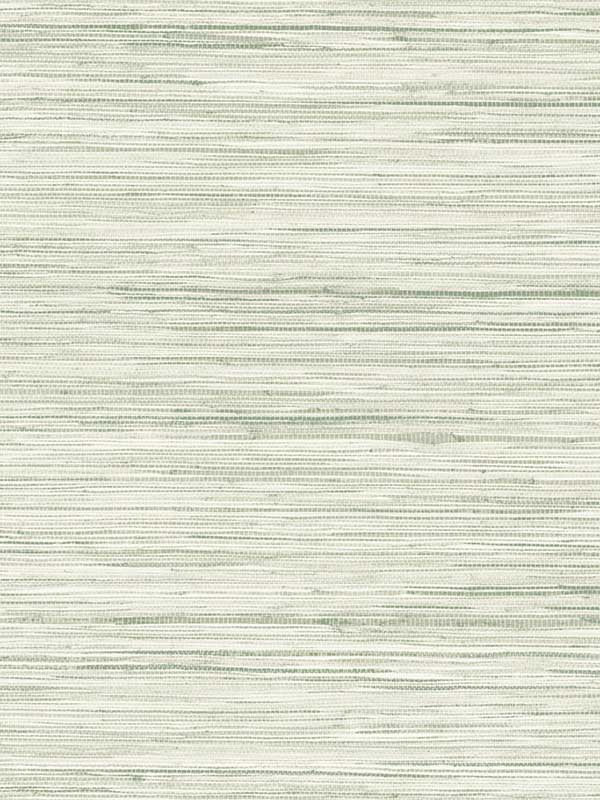 Bahiagrass fabric in green color - pattern number CV4413 - by York in the Waters Edge Resource Library collection