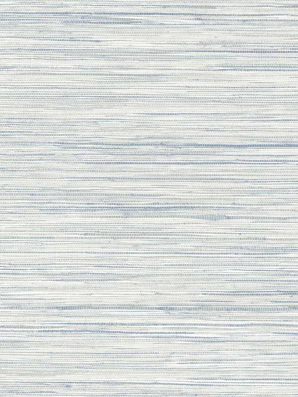 Bahiagrass fabric in blue color - pattern number CV4415 - by York in the Waters Edge Resource Library collection