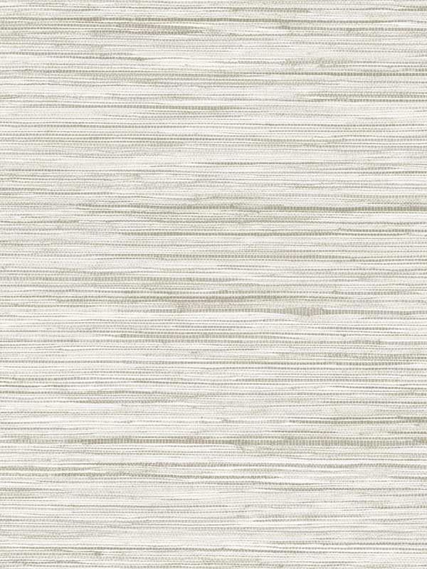 Bahiagrass fabric in beige color - pattern number CV4416 - by York in the Waters Edge Resource Library collection
