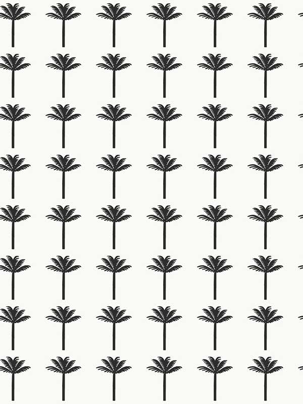 Palm Bay fabric in black color - pattern number CV4417 - by York in the Waters Edge Resource Library collection