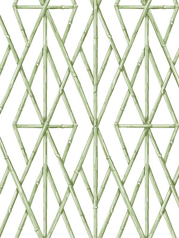 Riviera Bamboo Trellis fabric in green color - pattern number CV4451 - by York in the Waters Edge Resource Library collection