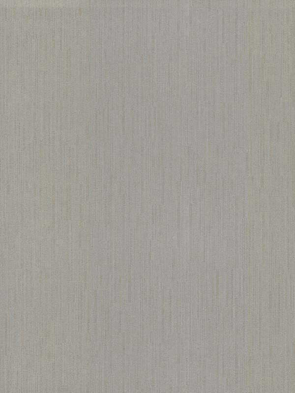Weekender Weave fabric in grey color - pattern number 5855 - by Ronald Redding in the Traveler collection