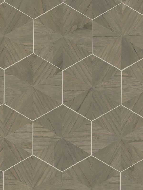 Hexagram Wood Veneer fabric in brown color - pattern number HO2102 - by Ronald Redding in the Traveler collection