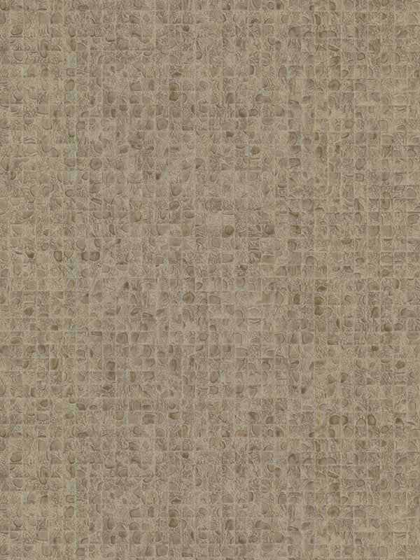 Leather Lux fabric in beige color - pattern number HO2118 - by Ronald Redding in the Traveler collection