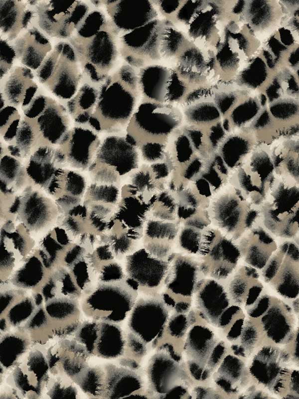 Leopard Rosettes wallpaper in black color - pattern number HO2162 - by Ronald Redding in the Traveler collection