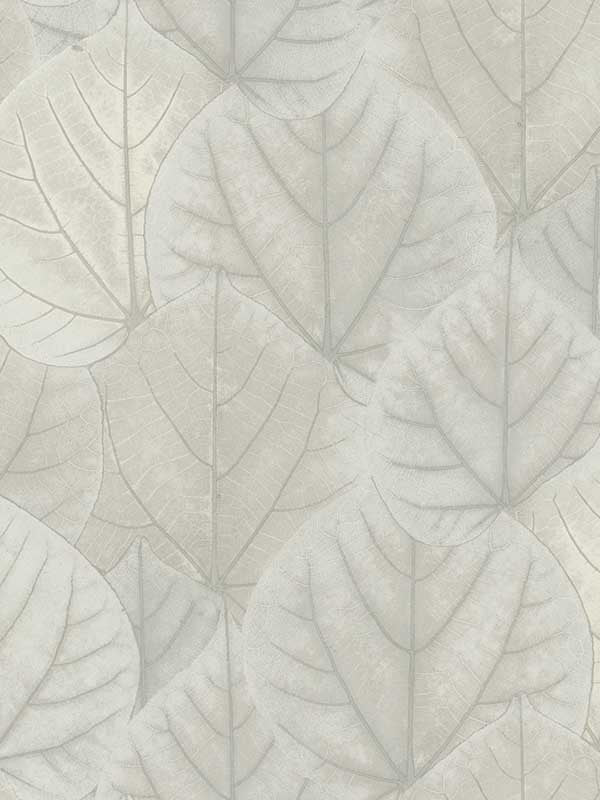 Leaf Concerto fabric in grey color - pattern number OS4246 - by Candice Olson in the Modern Nature Second Edition collection