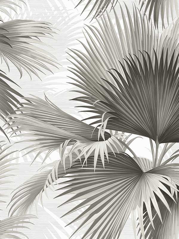 Summer Palm Tropical fabric in charcoal color - pattern number 2927-40100 - by A Street Prints in the Newport collection