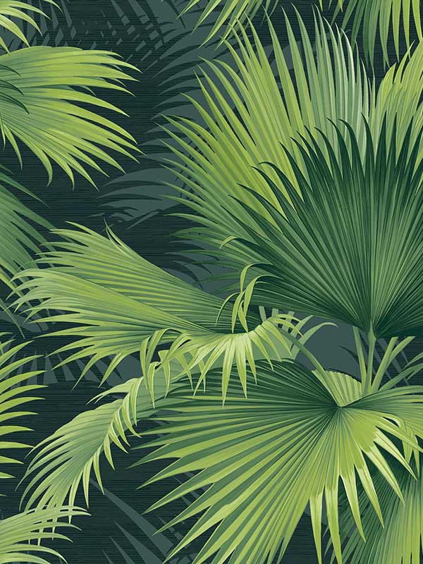 Summer Palm Tropical fabric in dark green color - pattern number 2927-40104 - by A Street Prints in the Newport collection