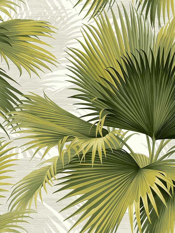 Summer Palm Tropical fabric in green color - pattern number 2927-40114 - by A Street Prints in the Newport collection