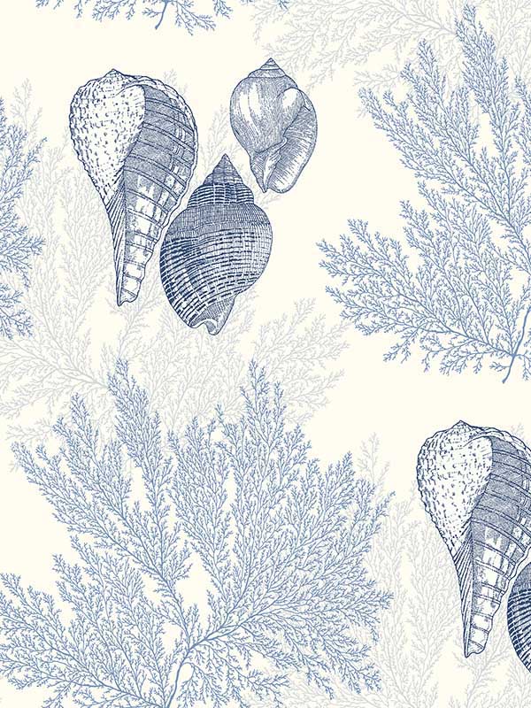 Nauset shell Shores wallpaper in blue color - pattern number 2927-81202 - by A Street Prints in the Newport collection