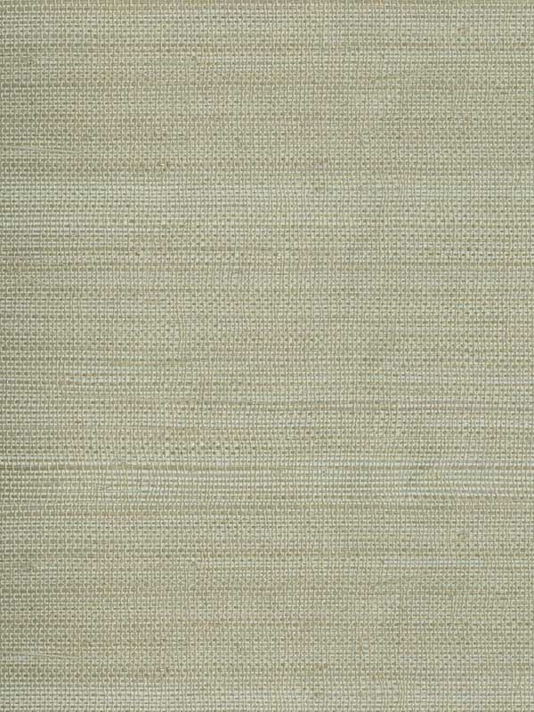 Myoki Grasscloth fabric in neutral color - pattern number 4018-14 - by Advantage in the Grasscloth Portfolio collection