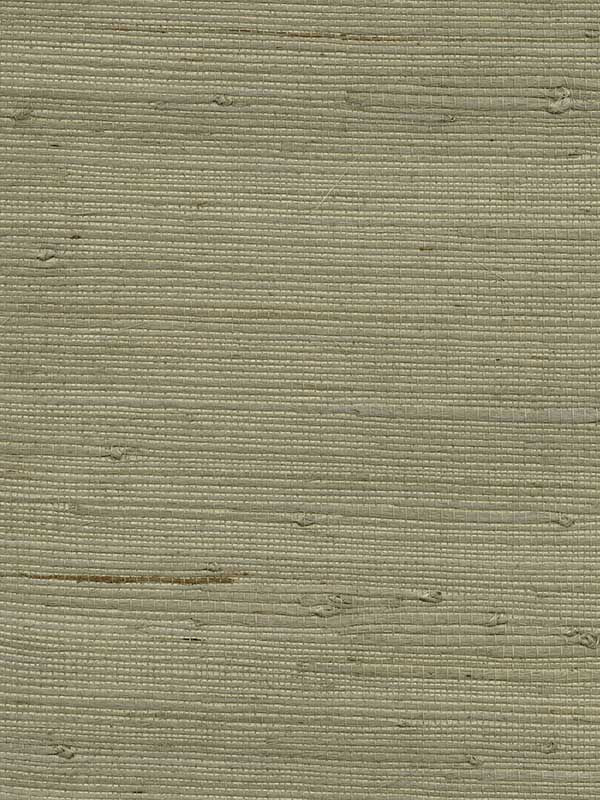 Battan Grasscloth fabric in taupe color - pattern number 4018-15 - by Advantage in the Grasscloth Portfolio collection