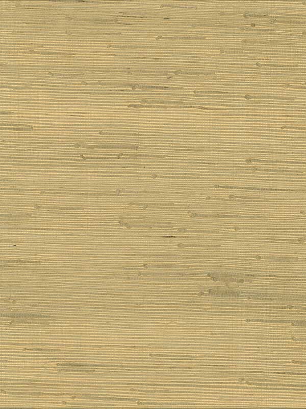 Shan Grasscloth wallpaper in light green color - pattern number 4018-21 - by Advantage in the Grasscloth Portfolio collection