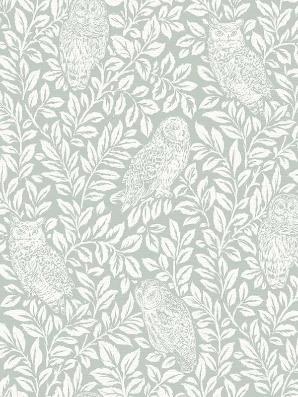 Parliament Owl wallpaper in seafoam color - pattern number 3123-12414 - by Chesapeake in the Homestead collection
