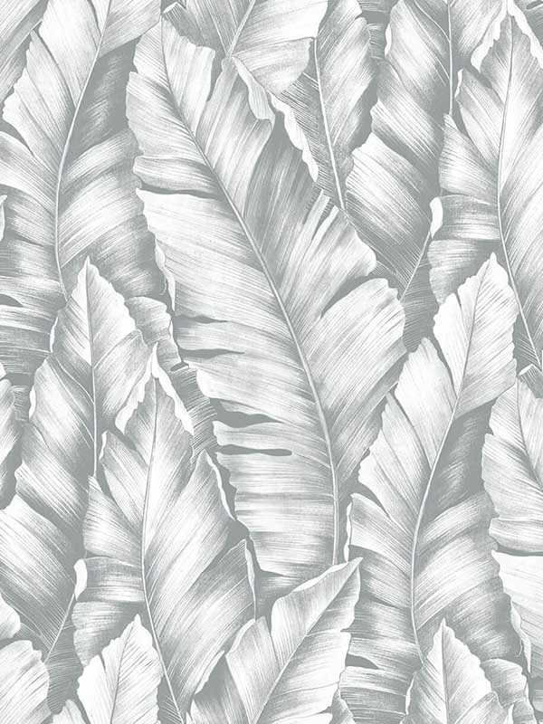 Baha Banana Leaves Peel and Stick wallpaper in daydream gray color - pattern number NW37908 - by NextWall in the Peel and Stick Wallpaper by Nextwall collection