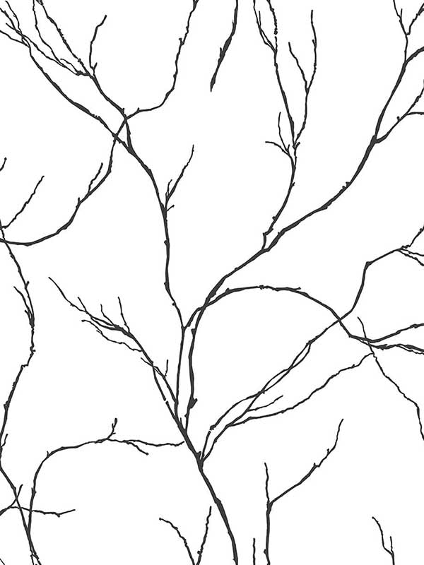 Delicate Branches Peel and Stick wallpaper in ebony color - pattern number NW39000 - by NextWall in the Peel and Stick Wallpaper by Nextwall collection