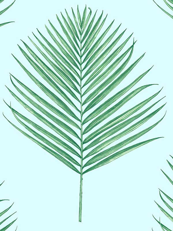 Maui Palm Peel and Stick fabric in celeste and jade color - pattern number LN20004 - by NextWall in the Peel and Stick Wallpaper by Lillian August Luxe Haven collection