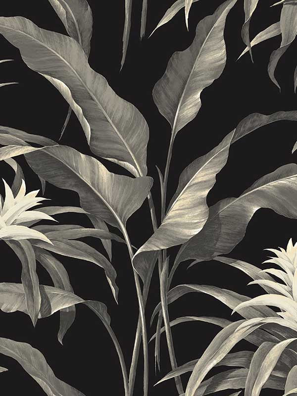 Palma Peel and Stick fabric in onyx and alloy color - pattern number SG10300 - by NextWall in the Peel and Stick Wallpaper by Stacy Garcia Sojourn Collection collection