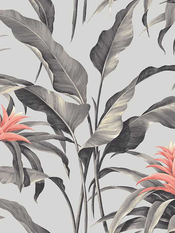 Palma Peel and Stick fabric in metallic silver and coral color - pattern number SG10301 - by NextWall in the Peel and Stick Wallpaper by Stacy Garcia Sojourn Collection collection
