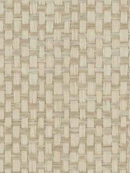 Paperweave fabric in warm neutral beige color - pattern number RH6008 - by Wallquest in the Natural Textures collection