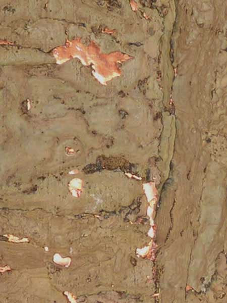 Cork fabric in metallic color - pattern number RH6025 - by Wallquest in the Natural Textures collection