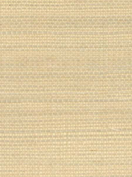Sisal fabric in warm neutral beige color - pattern number RH6032 - by Wallquest in the Natural Textures collection