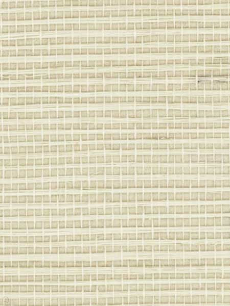 Sisal fabric in warm neutral beige color - pattern number RH6041 - by Wallquest in the Natural Textures collection