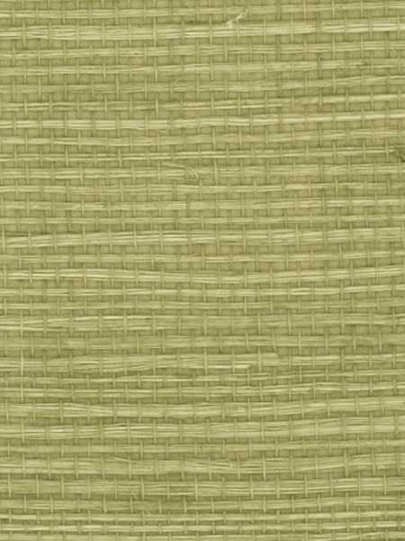 Sisal fabric in green color - pattern number RH6102 - by Wallquest in the Natural Textures collection