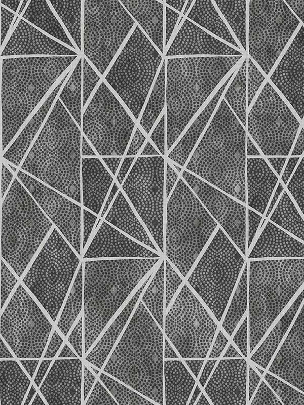 Dots and Lines wallpaper in black color - pattern number EH72000 - by Pelican Prints in the Maya collection