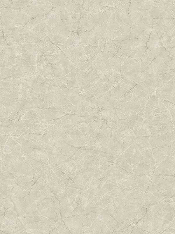 Queensdown wallpaper in stone color - pattern number CR81207 - by Carl Robinson in the Carl Robinson 17 Loft collection