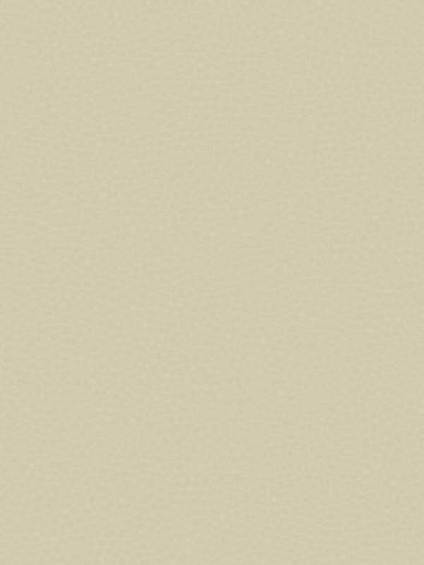 Queenswood fabric in sand color - pattern number CR83007 - by Carl Robinson in the Carl Robinson 17 Loft collection