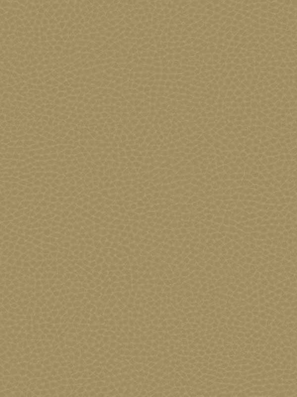 Queenswood fabric in khan color - pattern number CR88005 - by Carl Robinson in the Carl Robinson 17 Loft collection