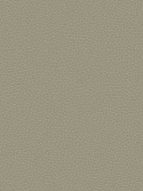 Queenswood fabric in carob color - pattern number CR88006 - by Carl Robinson in the Carl Robinson 17 Loft collection