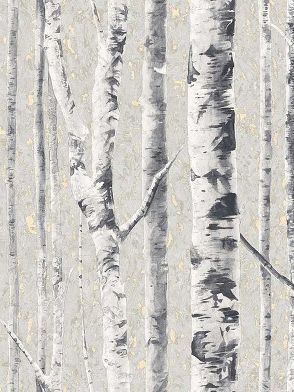 Birch wallpaper in frost color - pattern number FJ41610 - by Mayflower in the Sanctuary collection