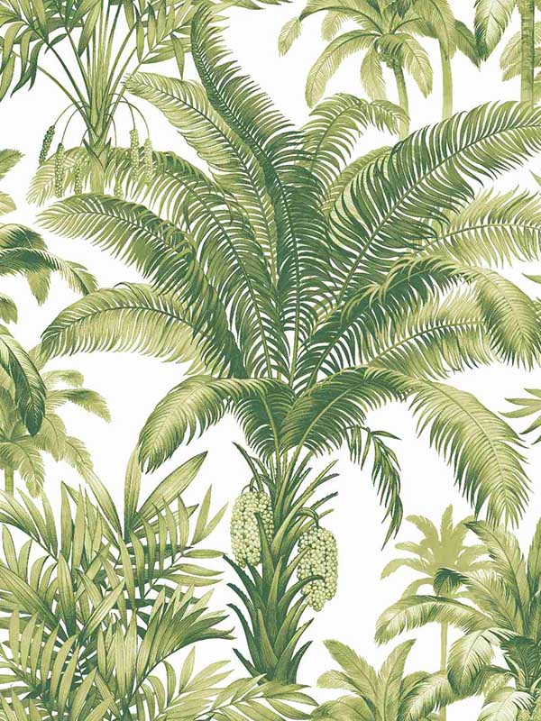 Palms fabric in green color - pattern number CN30704 - by Wallquest in the Charleston collection