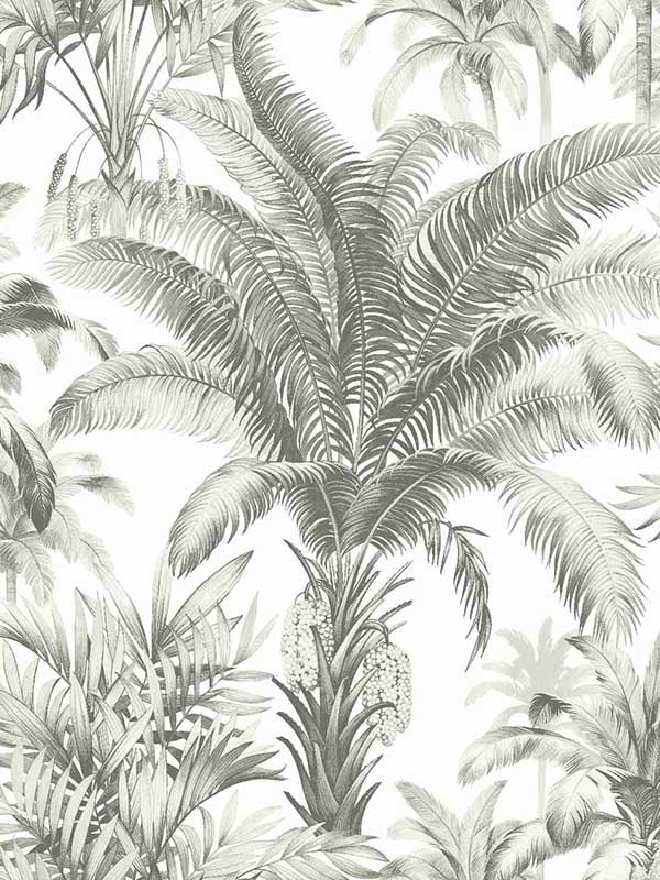 Palms fabric in gray color - pattern number CN30708 - by Wallquest in the Charleston collection