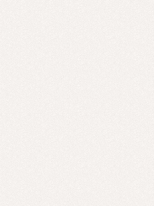 Subtle Plain wallpaper in ivory color - pattern number 1821608 - by Seabrook in the Black and White by Etten Gallerie collection
