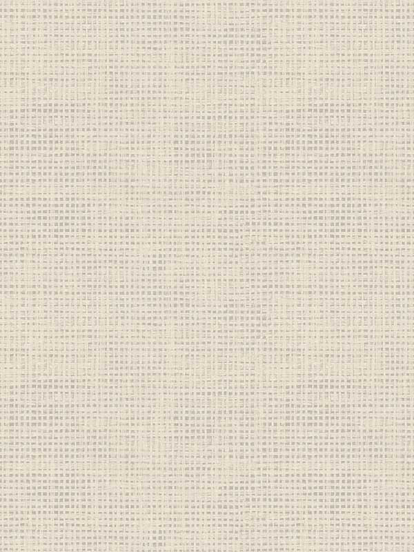 Nimmie Woven Grasscloth fabric in taupe color - pattern number 3122-10005 - by Chesapeake in the Flora and Fauna collection