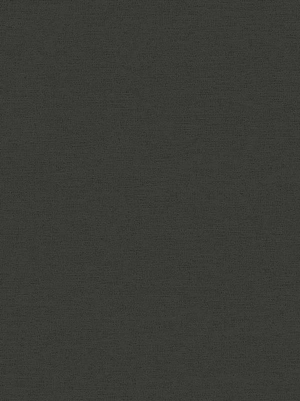 Estefan Distressed Texture fabric in black color - pattern number 4044-371781 - by Advantage in the Cuba collection