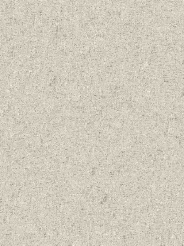 Estefan Distressed Texture fabric in neutral color - pattern number 4044-371782 - by Advantage in the Cuba collection