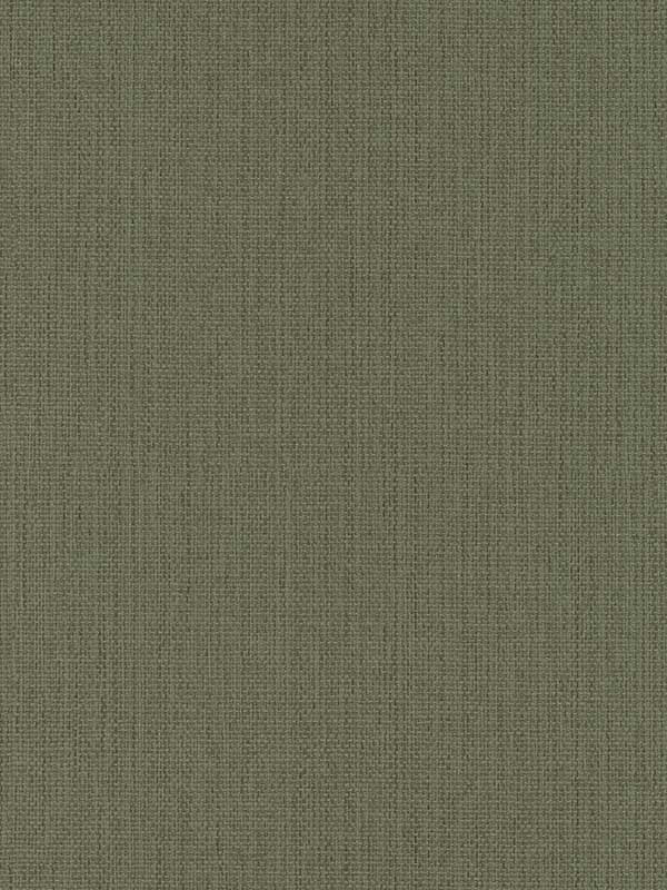 Hoshi Woven fabric in green color - pattern number 4035-407945 - by Advantage in the Windsong collection