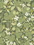 Ewald Garden Vines fabric in green color - pattern number 2932-65121 - by A Street Prints in the Lina collection