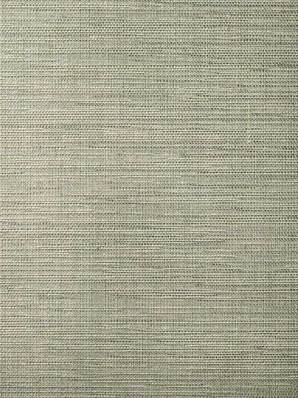 Kimit fabric in sage color - pattern number WFT1606.WT.0 - by Winfield Thybony in the Natural Textiles collection